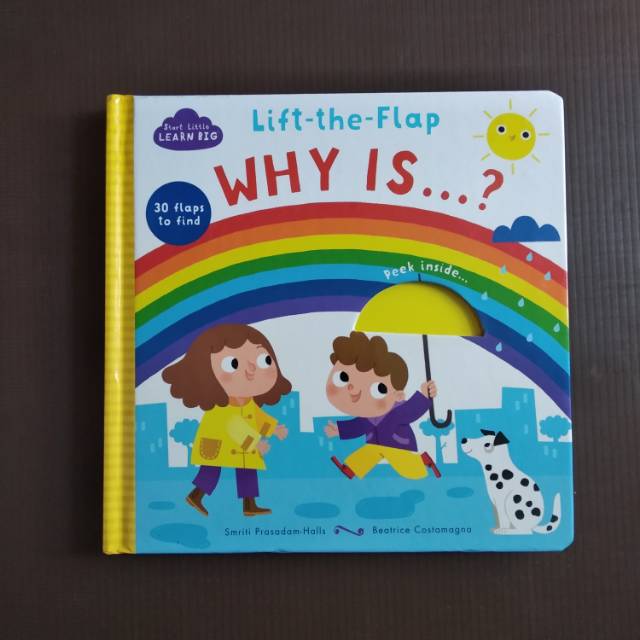 PRELOVED - Why Is...? (Lift the flap book)