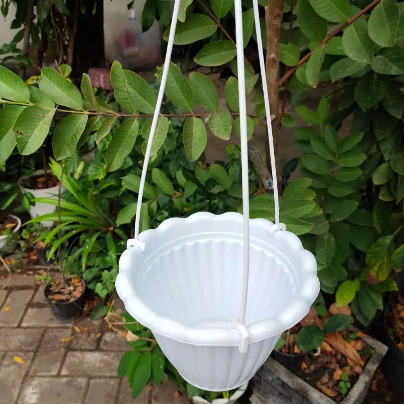 POT GANTUNG RENDA 20 DIAMETER 18 CM WARNA PUTIH BAHAN BERKUALITAS - POT GANTUNG 20 PUTIH