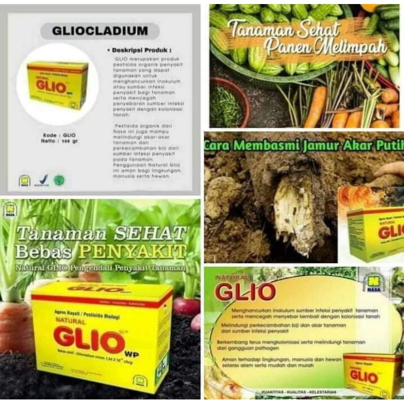 Glio Nasa Pupuk Pengendali Hama Tanaman
