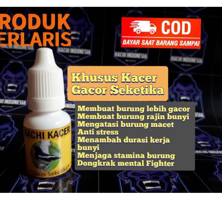 Trend  Vitamin Kacer Gacor Ngobra Anti mbagong ✔