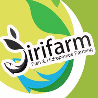  Jirifarm 10703 Batu Koral Pancawarna ukuran 3 5 mm 