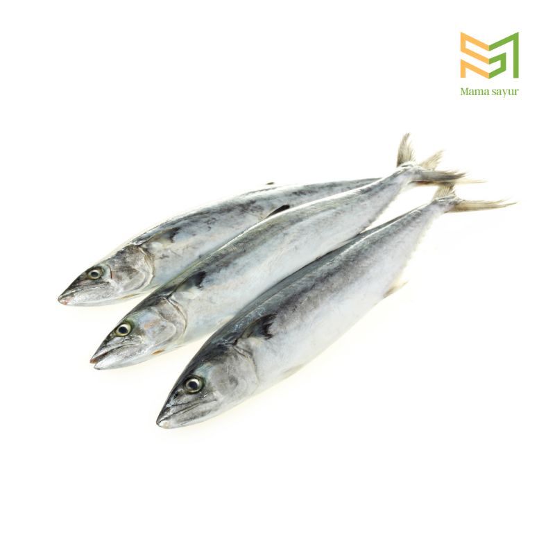 

Ikan layang segar per pack