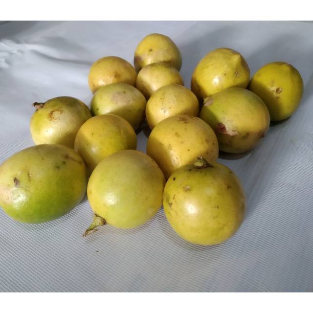 

Lemon segar