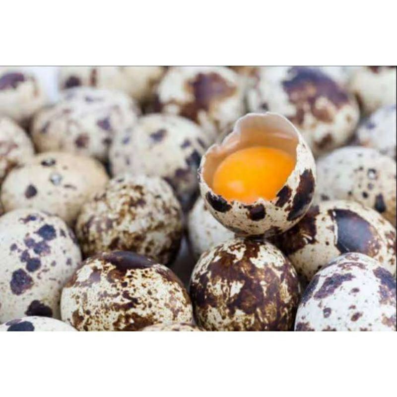 

{LB} TELUR PUYUH MENTAH 250 GRAM // KIRIM INSTAN