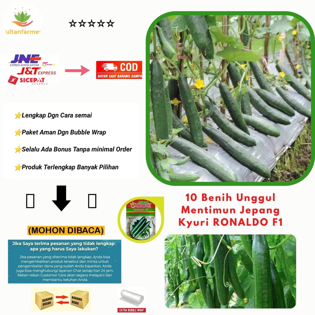 10 Biji - Benih Timun Jepang ROBERTO F1