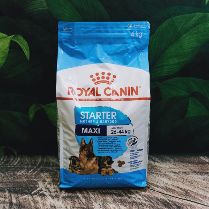 Royal Canin Maxi Starter 4kg / RC Mother &amp; Baby Dog Makanan Anjing