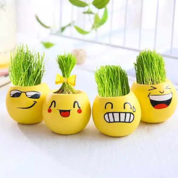 READY STOCK!!Pot Rumput Mini Emoticon/Pot Bunga Mini Plant Kantor Lucu