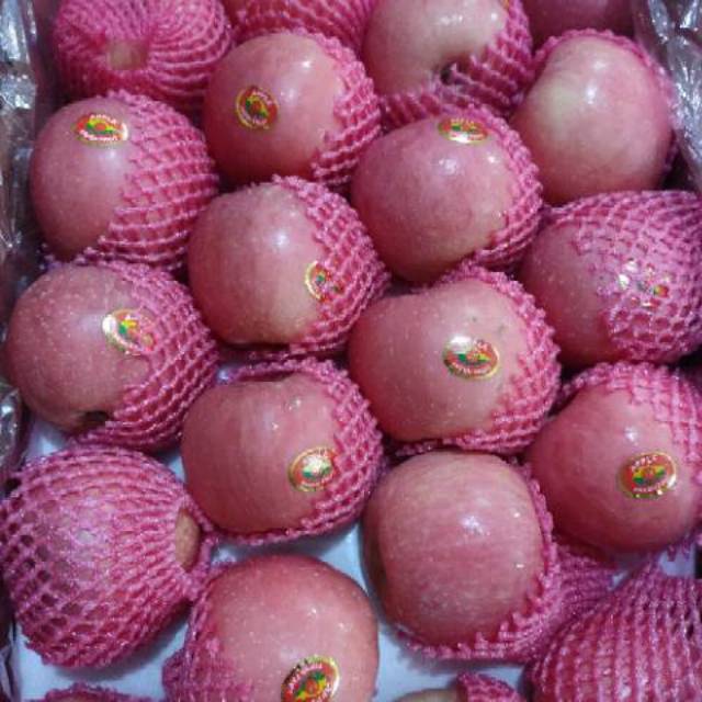 

Apel Fuji rrc kmsn 1000gr isi 5/6