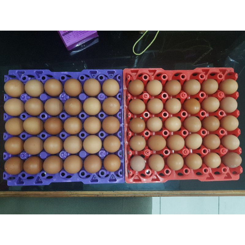 

TELUR AYAM NEGRI KECIL ISI 17-18 BUTIR PER-KG