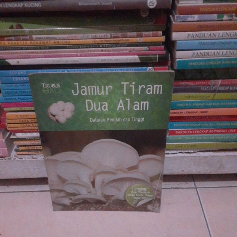 trubus jamur tiram dua alam dataran rendah dan tinggi