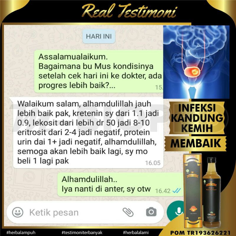 OBAT INFEKSI SALURAN KEMIH l OBAT INFEKSI SALURAN KEMIH WANITA l OBAT HERBAL INFEKSI SALURAN KEMIH