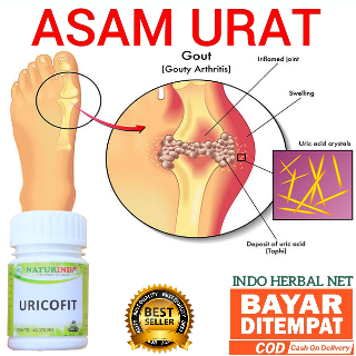 COD OBAT ASAM URAT OBAT HERBAL NYERI SENDI PENURUN ASAM URAT SENDI BENGKAK SAKIT SENDI