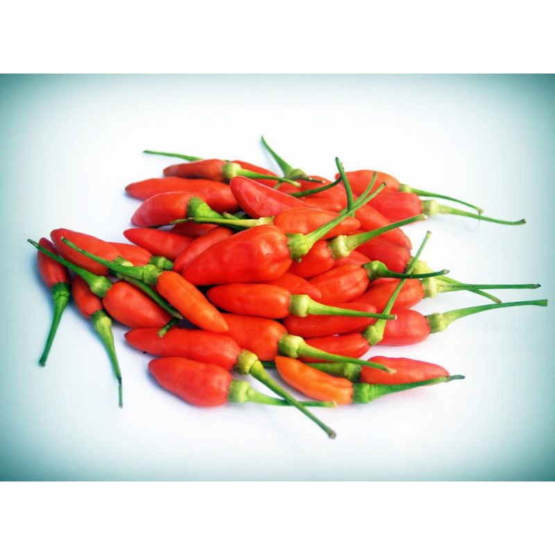 

Cabai Rawit Domba/250gr