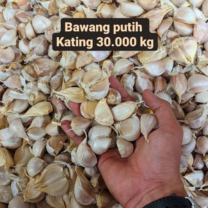 

Bawang putih kating 1 kg