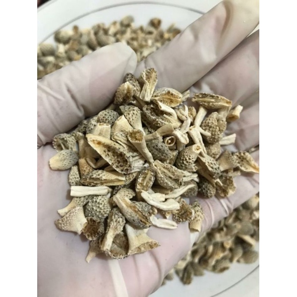 MPOT AYAM PUTIH ORIGINAL MADURA