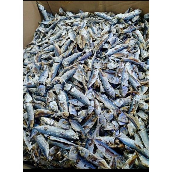 

Ikan Asin Rebus Lepes 500gram Medan