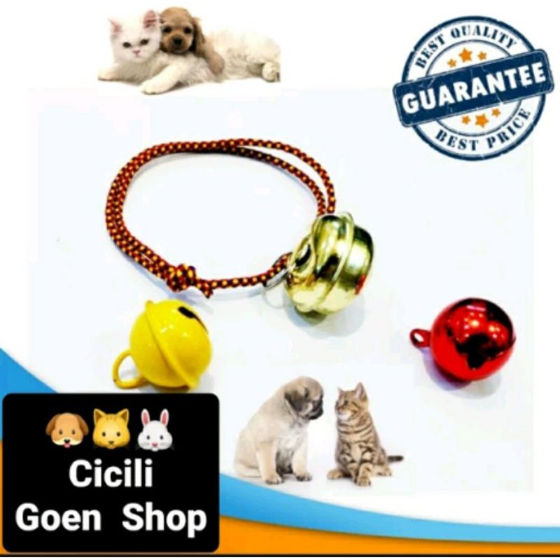Kalung plus lonceng besar tali prusik gelang collar anjing Kalung plus lonceng besar tali prusik gelang collar anjing