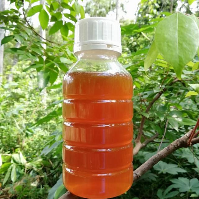 

madu REH 650 gr