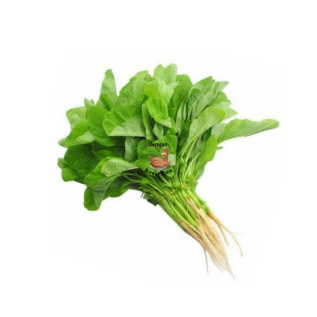 

Daun Bayam (per ikat)