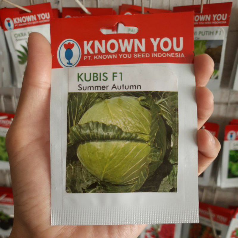 Benih Kubis SUMMER AUTUMN Isi 150 biji Untuk Dataran Tinggi