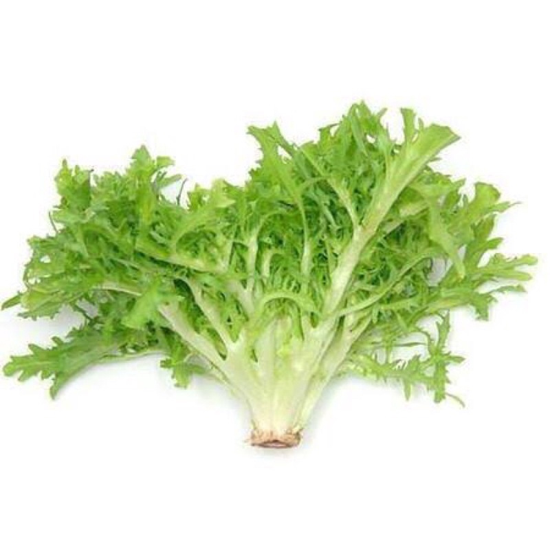 

Frisée Endive salad