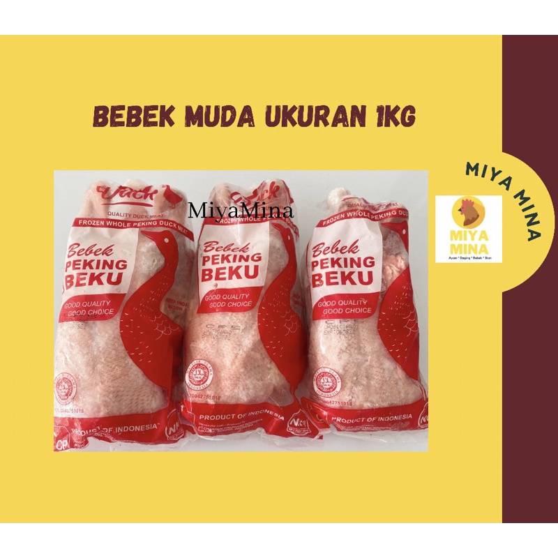 

BEBEK MUDA 1kg BEBEK PEKING