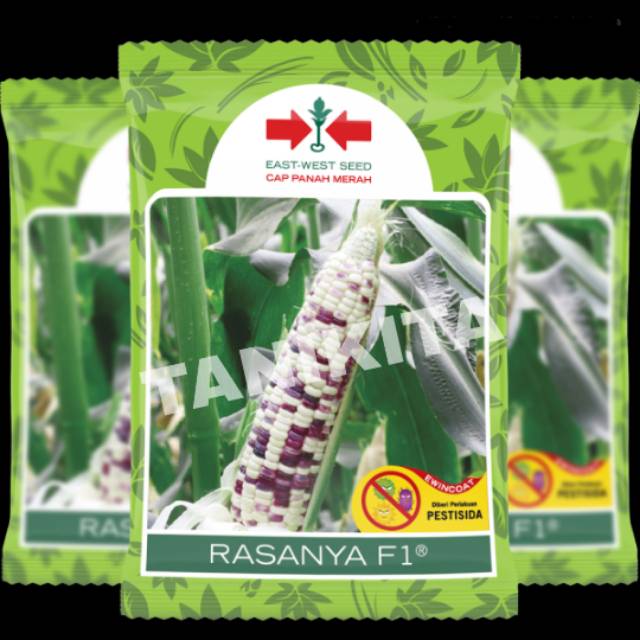 BENIH BIBIT TANAMAN SAYURAN JAGUNG RASANYA F1  JAGUNG PULUT 200 BUTIR