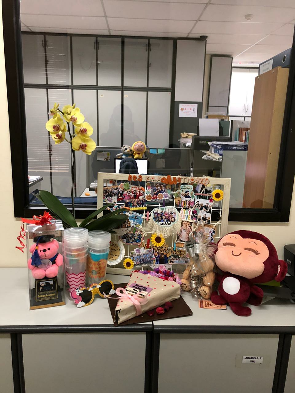 Mika Piala Wisuda | Box Mika Untuk Piala Wisuda Plastik Mika Kotak Mika