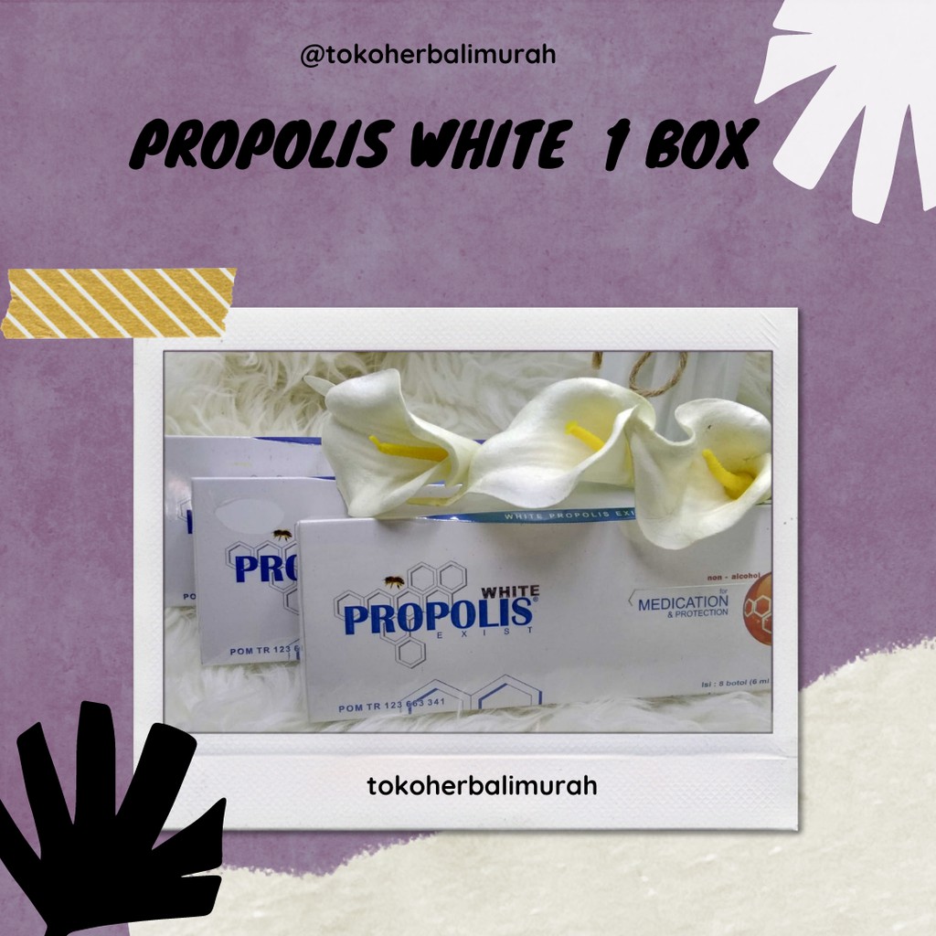 WHITE PROPOLIS EXIST Harga 1 Box