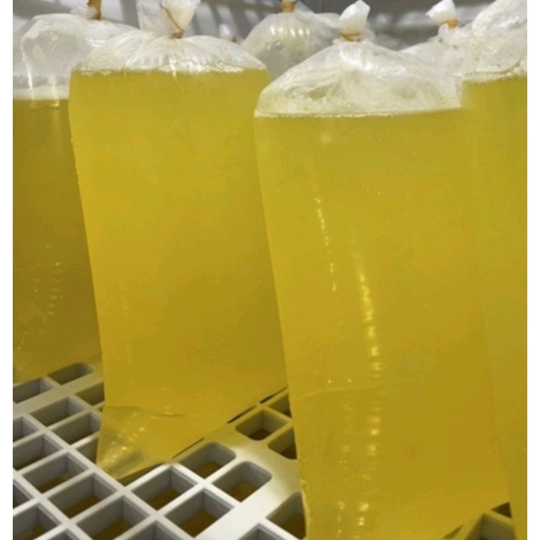 

putih telur fresh 1kg an