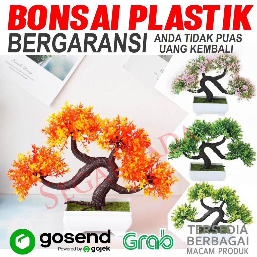 Tanaman Bonsai Plastik