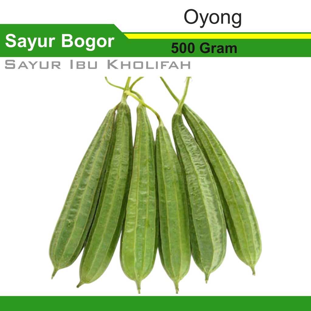 

Sayuran Segar Oyong Hijau 500 Gram Sayur Segar Bogor