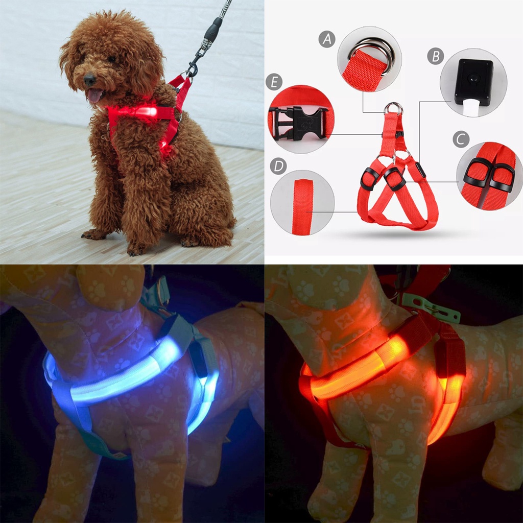 Pet Harness Collar and Leash Dog cat LED / Tali Kalung Anjing dan Kucing LED