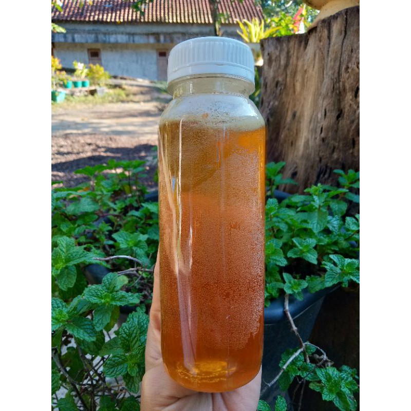 

Madu Murni Lebah Melifera (HARGA PROMO 250 ml)