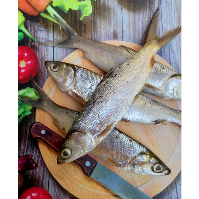 

IKAN BANDENG 1KG ( Isi 3-4 Ikan / Isi 6-7 Ikan )