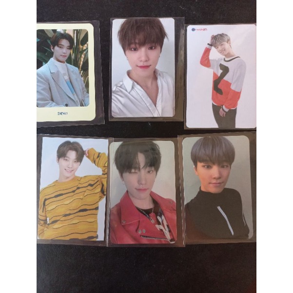 Seventeen PC Dino