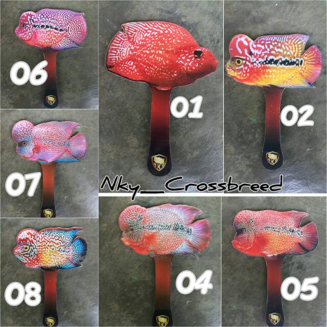Wayang Ikan / untulan louhan /pengganti perrot
