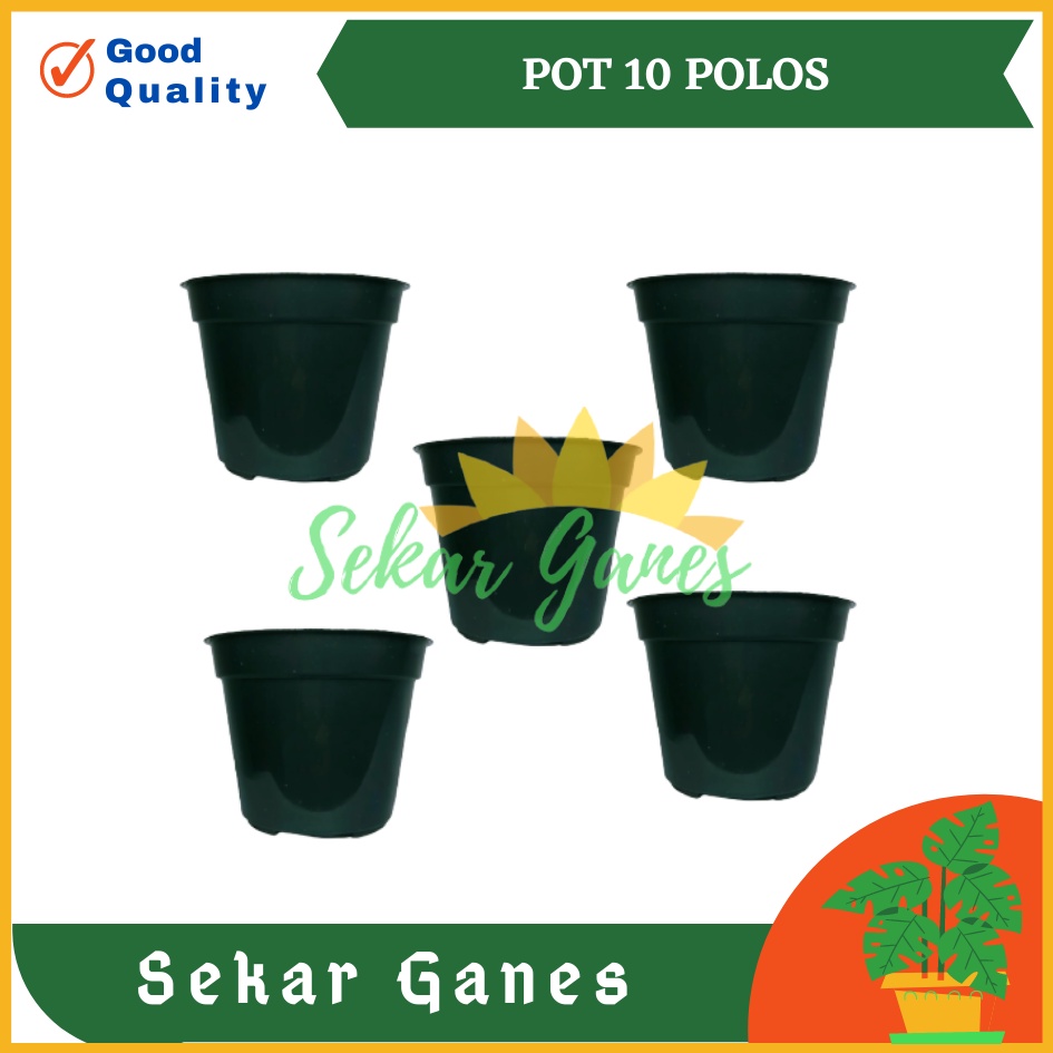 LUSINAN Pot 10 Cm Hitam Isi 12Pcs TERMURAH GROSIR Lusinan 12 pcs Pot Bunga Plastik Polos Kecil Murah