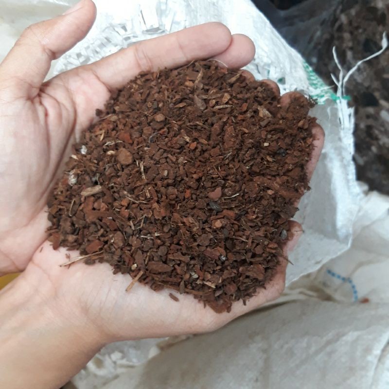 PABRIK PINE BARK KULIT PINUS MEDIA TANAM