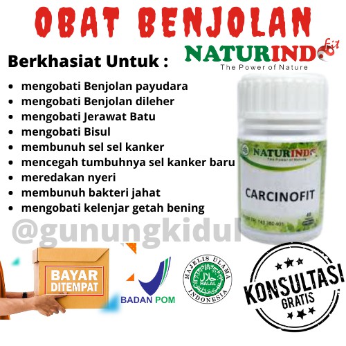 Obat Herbal Benjolan Kanker Tumor Bisul Jerawat Batu Lipoma Uci Uci Herbal Carcinofit Naturindo Cod Shopee Indonesia