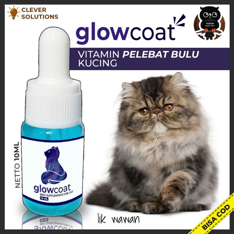 penumbuh bulu kucing, pelebat bulu kucing, vitamin bulu, GLOWCOAT