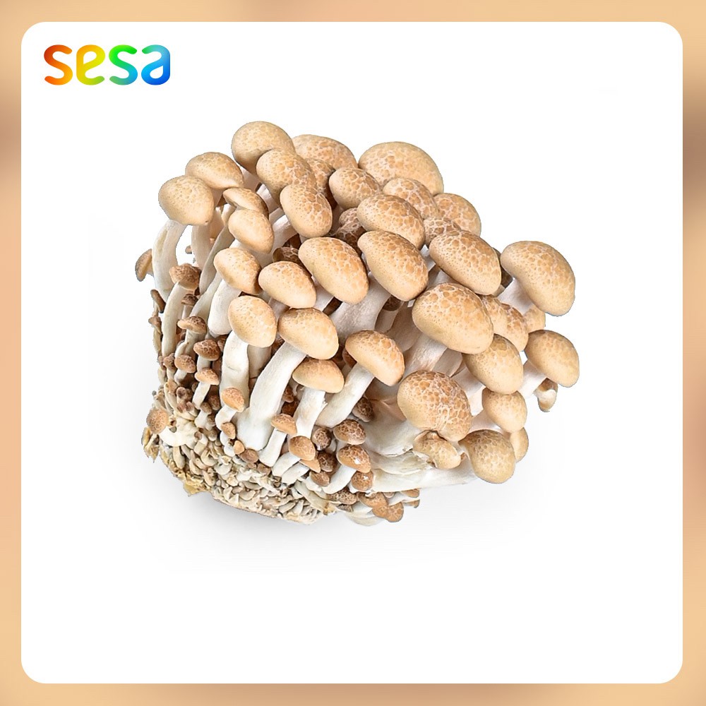 

JAMUR Shimeji 100gr - Sayuran Superfood