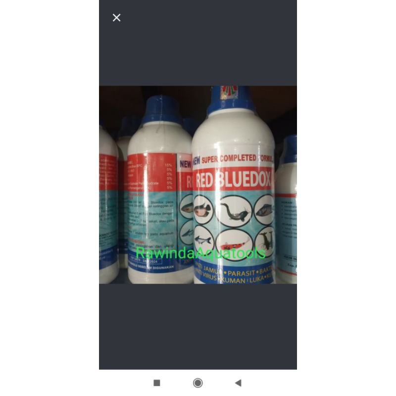 

obat ikan red bludox500ml