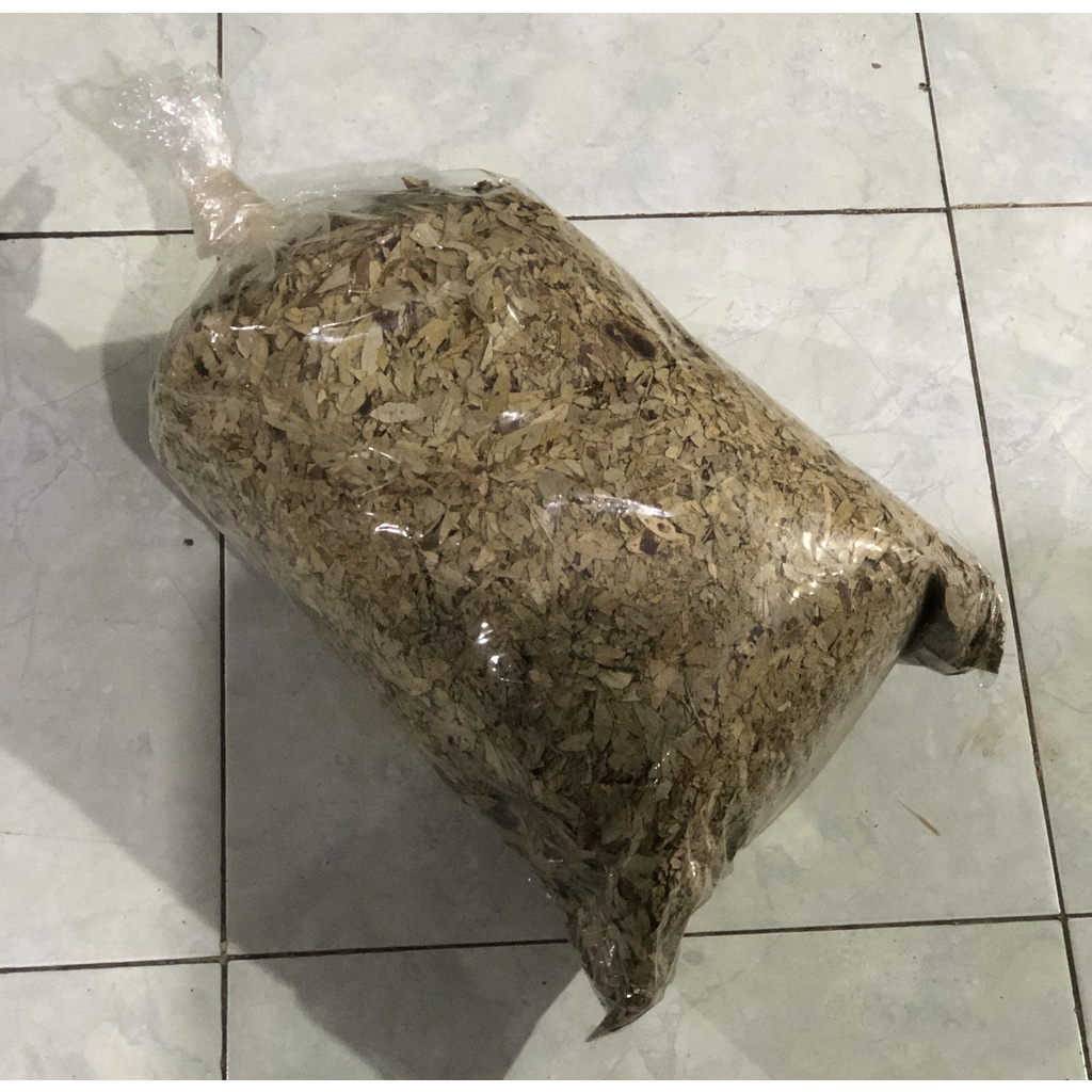 

GROSIR Jati Cina Premium Asli