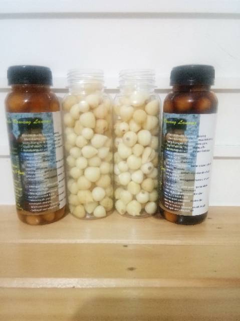 Madu bawang lanang / tunggal obat Alami hipertensi asam urat kolesterol gula darah diabetes 350gram