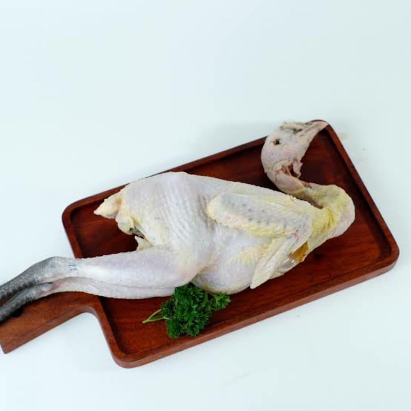 

Ayam kampung 1 ekor bersih