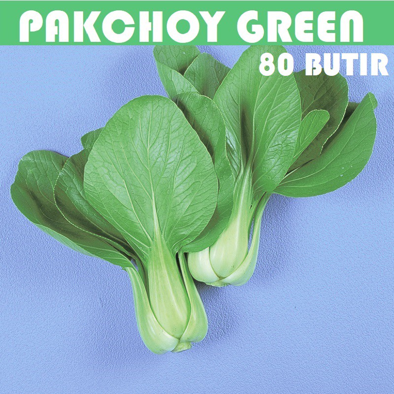 Bibit Benih Biji Pakchoy Pakchoi Green White Sawi Daging Bok choy Bokchoi Pokcoy Pokcay-Pakchoy Green 80 btr