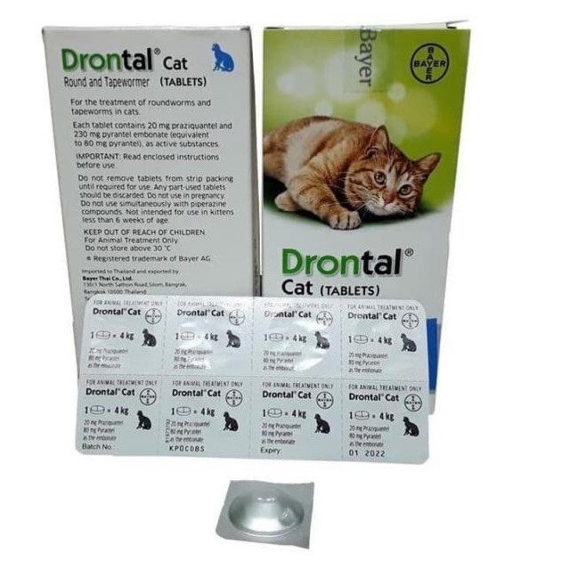 DRONTAL FOR CAT 1 tablet