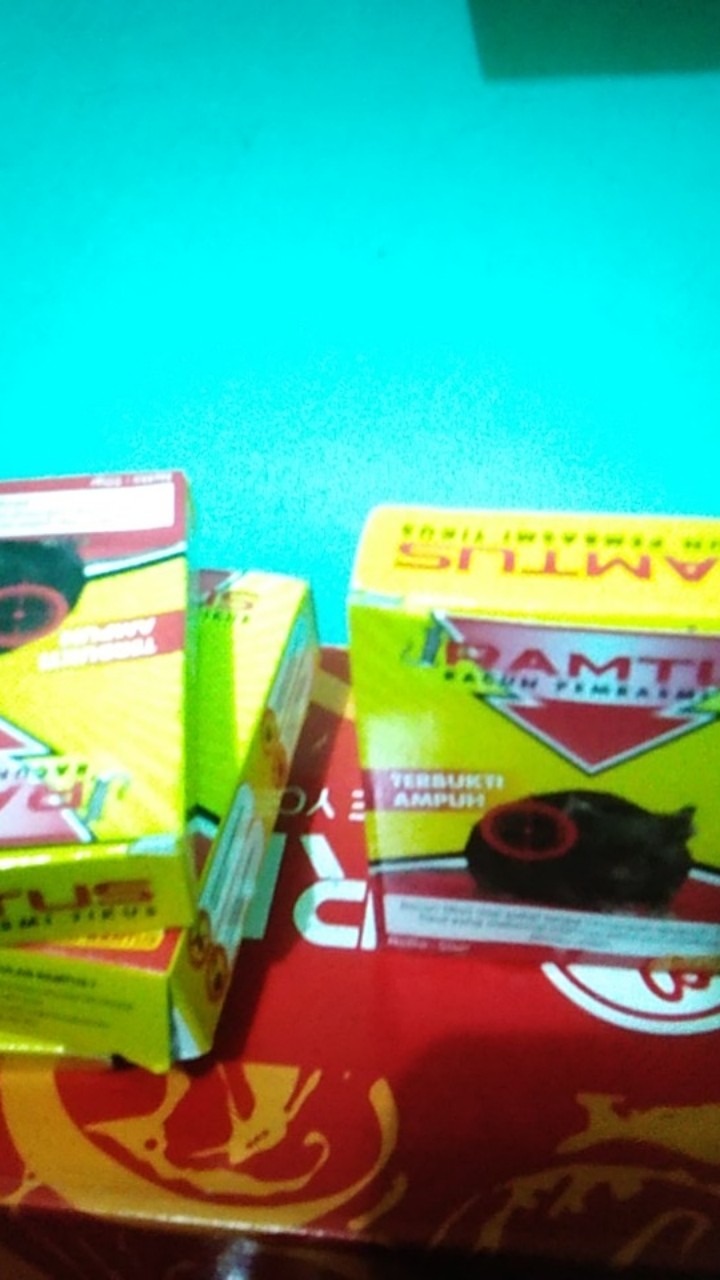 Ramtus Racun Tikus Ampuh Mati Kering Tidak Bau Pembasmi Curut Wirog Mencit Dirumah Di Mobil 3 Pack