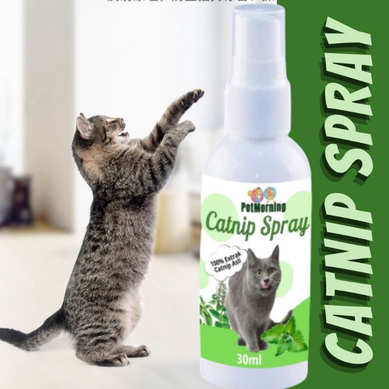catnip spray anti stres kucing 30 ml